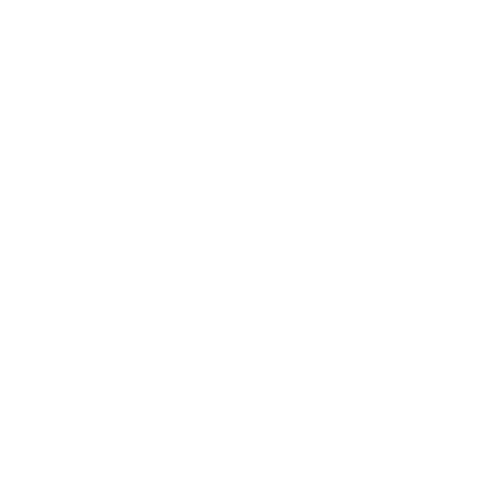 Logo AiiRO