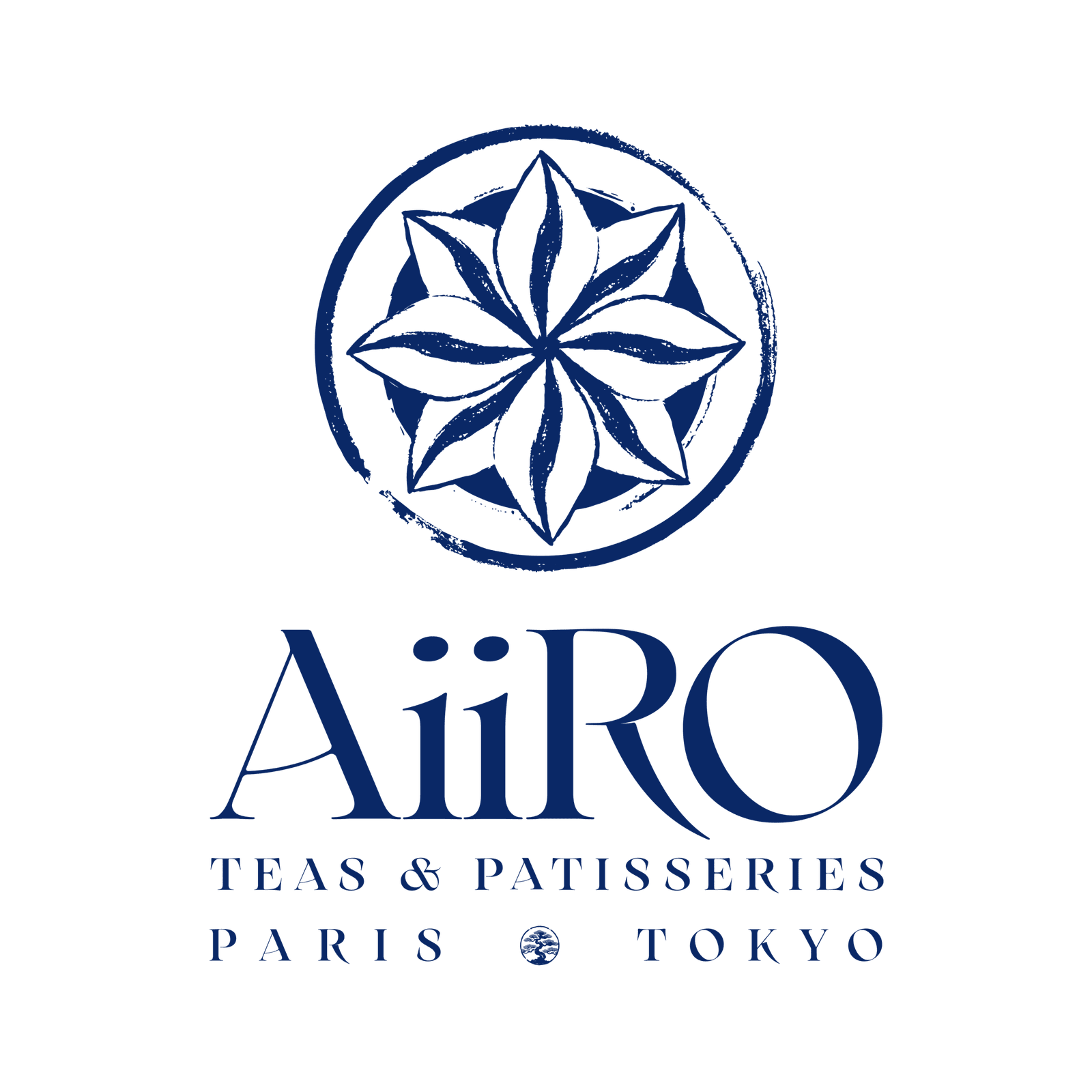 Logo AiiRO