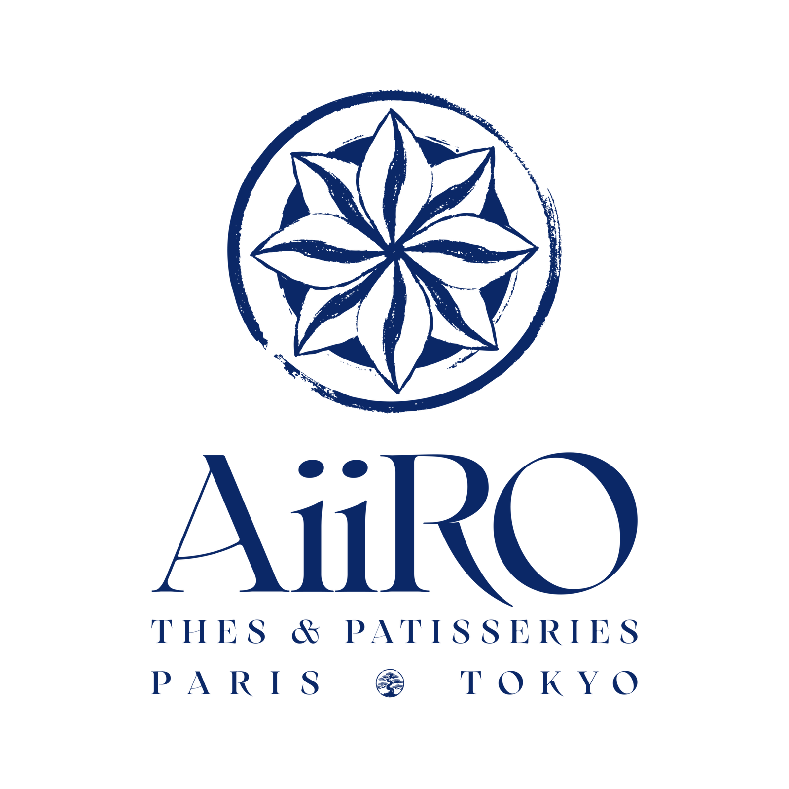 aiiro.paris