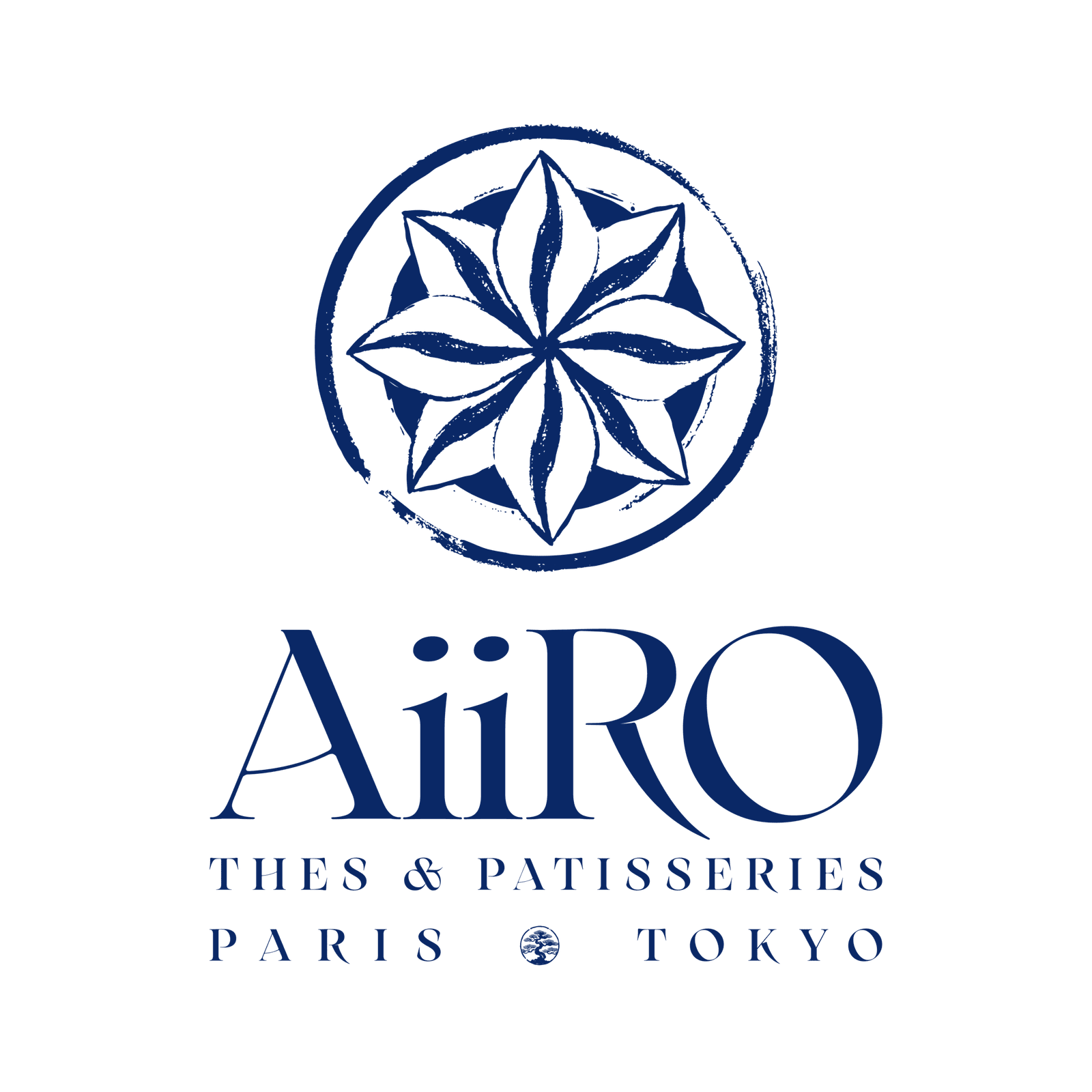 Logo AiiRO